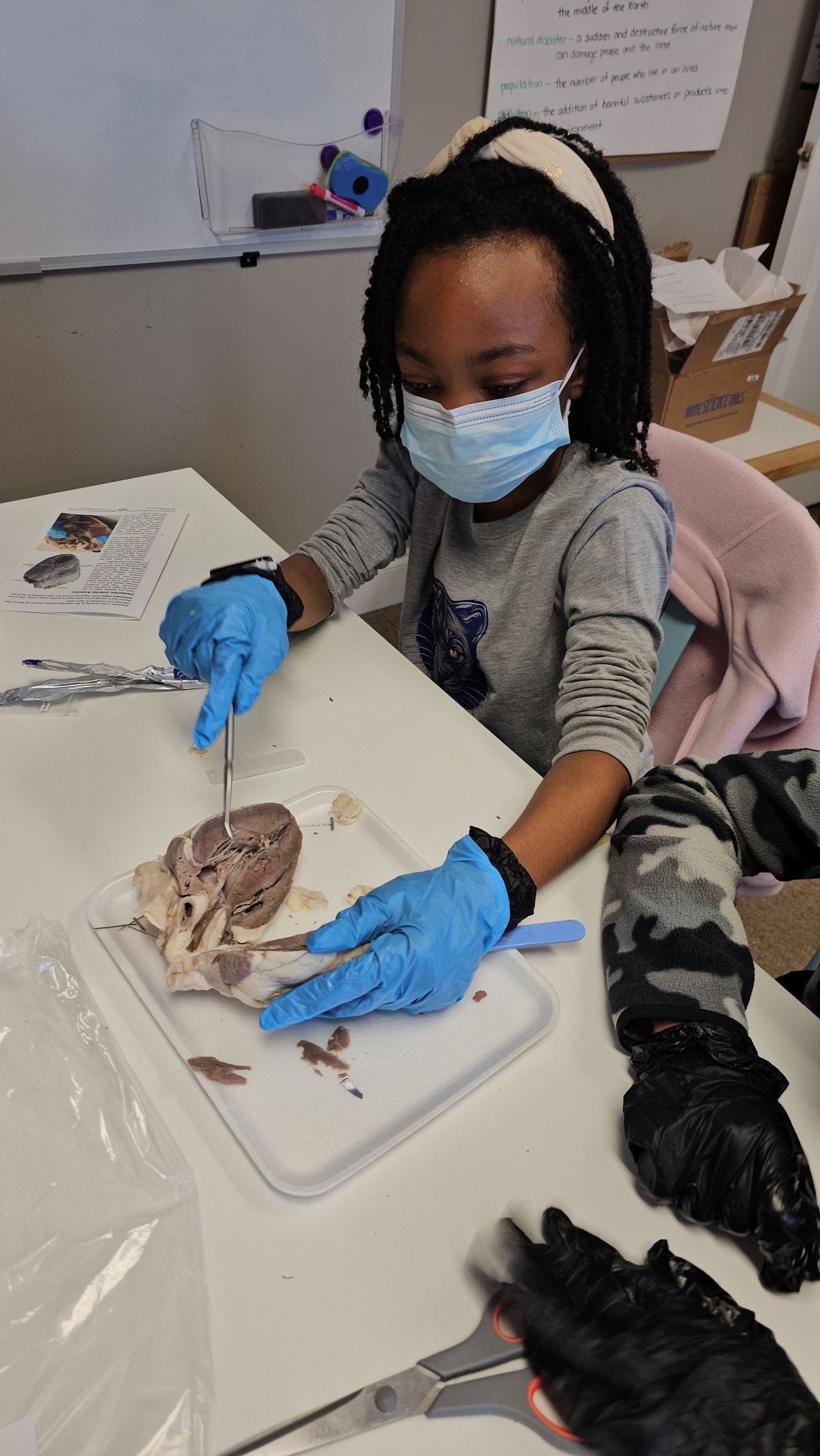 Young Laureates guide and scholars celebrating during science lab